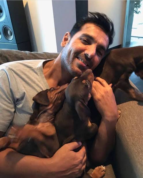 Dogs are Delhiites: John Abraham Urges CJI to Reconsider Stray Dog Removal Order